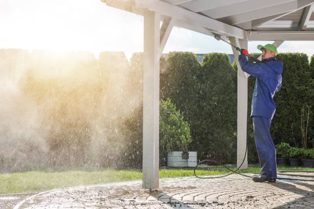Best Gutter Cleaning  in Licking, MO