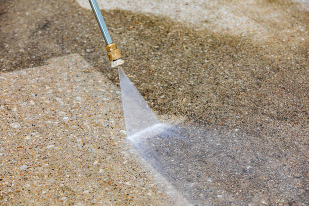 Best Residential House Exterior Washing  in Licking, MO