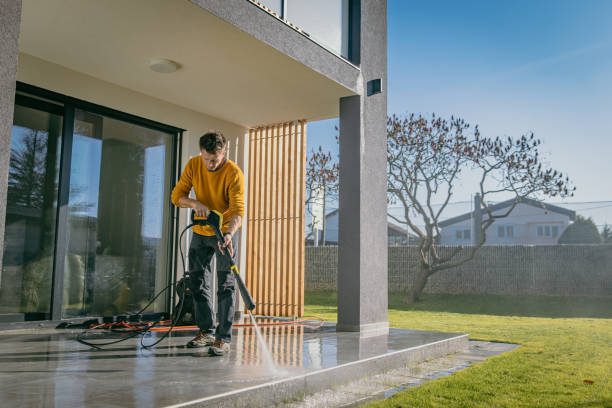 Best Pre-Holiday Cleaning  in Licking, MO