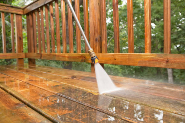 Best Sidewalk and Walkway Cleaning  in Licking, MO