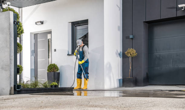 Best Sign and Awning Cleaning  in Licking, MO